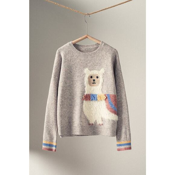 Urban Daizy Sweaters - Urban Daizy Whimsical Alpaca Embroidered Knit Sweater